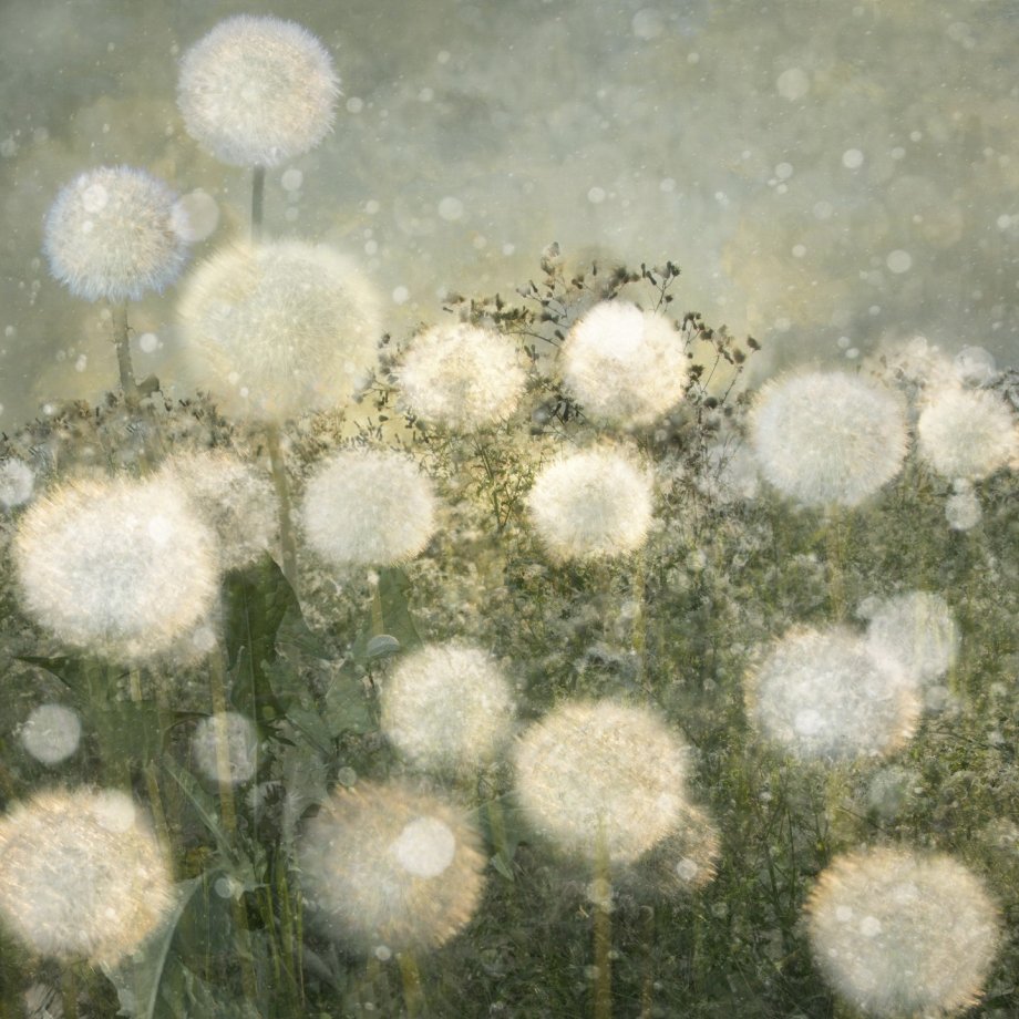 迷幻风景 摄影师Saskia Boelsums