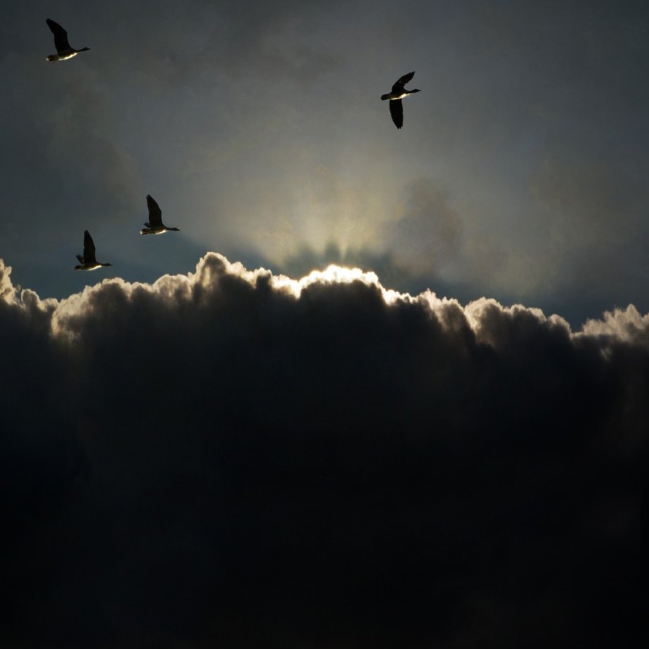 迷幻风景 摄影师Saskia Boelsums