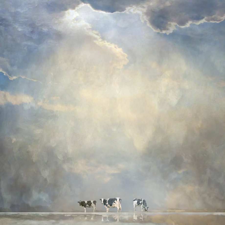 迷幻风景 摄影师Saskia Boelsums